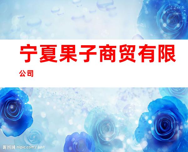 宁夏果子商贸有限公司